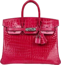 Hermes Birkin 25 Rose Mexico Shiny Porosus Crocodile Palladium Hardware Hermes Birkin 25 Rose Mexico Shiny Porosus Crocodile Palladium Hardware