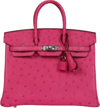 Hermes Birkin 25 Rose Tyrien Ostrich Palladium Hardware Hermes Birkin 25 Rose Tyrien Ostrich Palladium Hardware