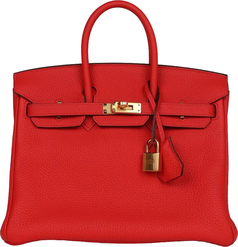 Hermes Birkin 25 Rouge de Coeur Togo Gold Hardware