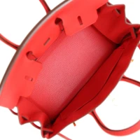 Hermes Birkin 25 Rouge de Coeur Togo Gold Hardware