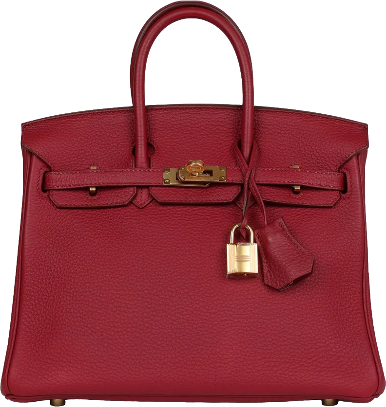 Hermes Birkin 25 Rubis Togo Gold Hardware