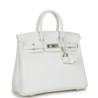 Hermes Birkin 25 White Epsom Palladium Hardware