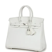 Hermes Birkin 25 White Epsom Palladium Hardware