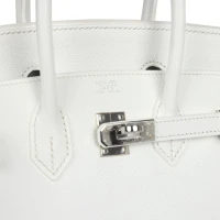 Hermes Birkin 25 White Epsom Palladium Hardware