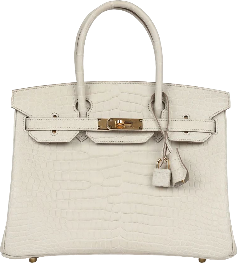 Hermes Birkin 30 Beton Matte Porosus Crocodile Gold Hardware
