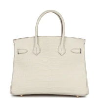 Hermes Birkin 30 Beton Matte Porosus Crocodile Gold Hardware Hermes Birkin 30 Beton Matte Porosus Crocodile Gold Hardware
