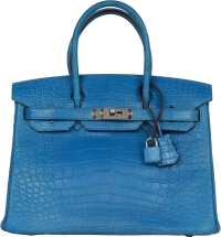 Hermes Birkin 30 Bleu Mykonos Matte Alligator Palladium Hardware Hermes Birkin 30 Bleu Mykonos Matte Alligator Palladium Hardware