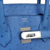 Hermes Birkin 30 Bleuet Ostrich Palladium Hardware