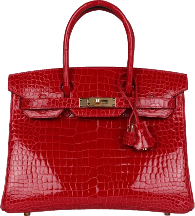 Hermes Birkin 30 Braise Shiny Porosus Crocodile Gold Hardware Hermes Birkin 30 Braise Shiny Porosus Crocodile Gold Hardware