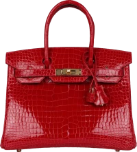 Hermes Birkin 30 Braise Shiny Porosus Crocodile Gold Hardware Hermes Birkin 30 Braise Shiny Porosus Crocodile Gold Hardware