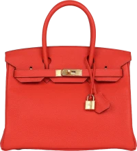 Hermes Birkin 30 Capucine Togo Gold Hardware Hermes Birkin 30 Capucine Togo Gold Hardware