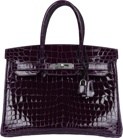 Hermes Birkin 30 Cassis Shiny Crocodile Niloticus Palladium Hardware Hermes Birkin 30 Cassis Shiny Crocodile Niloticus Palladium Hardware