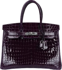 Hermes Birkin 30 Cassis Shiny Crocodile Niloticus Palladium Hardware Hermes Birkin 30 Cassis Shiny Crocodile Niloticus Palladium Hardware