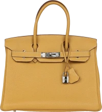Hermes Birkin 30 Curry Togo Palladium Hardware Hermes Birkin 30 Curry Togo Palladium Hardware