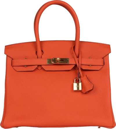Hermes Birkin 30 Feu Togo Gold Hardware Hermes Birkin 30 Feu Togo Gold Hardware