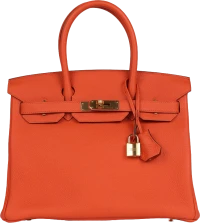 Hermes Birkin 30 Feu Togo Gold Hardware Hermes Birkin 30 Feu Togo Gold Hardware
