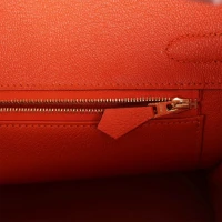 Hermes Birkin 30 Feu Togo Gold Hardware Hermes Birkin 30 Feu Togo Gold Hardware