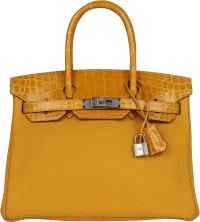Hermes Birkin 30 Jaune Ambre Shiny Niloticus Crocodile and Togo Touch Palladium Hardware Hermes Birkin 30 Jaune Ambre Shiny Niloticus Crocodile and Togo Touch Palladium Hardware