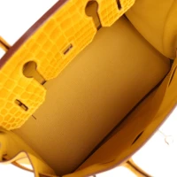 Hermes Birkin 30 Jaune Ambre Shiny Niloticus Crocodile and Togo Touch Palladium Hardware Hermes Birkin 30 Jaune Ambre Shiny Niloticus Crocodile and Togo Touch Palladium Hardware