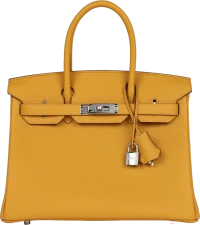 Hermes Birkin 30 Jaune Ambre Togo Palladium Hardware Hermes Birkin 30 Jaune Ambre Togo Palladium Hardware