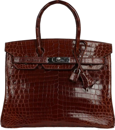 Hermes Birkin 30 Miel Shiny Niloticus Crocodile Palladium Hardware Hermes Birkin 30 Miel Shiny Niloticus Crocodile Palladium Hardware