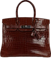Hermes Birkin 30 Miel Shiny Niloticus Crocodile Palladium Hardware Hermes Birkin 30 Miel Shiny Niloticus Crocodile Palladium Hardware