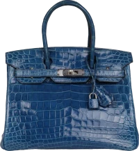 Hermes Birkin 30 Mykonos Shiny Niloticus Crocodile Palladium Hardware Hermes Birkin 30 Mykonos Shiny Niloticus Crocodile Palladium Hardware