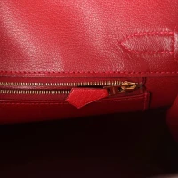 Hermes Birkin 30 Rouge Vif Ostrich Gold Hardware