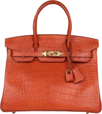 Hermes Birkin 30 Sanguine Matte Alligator Gold Hardware Hermes Birkin 30 Sanguine Matte Alligator Gold Hardware