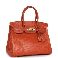 Hermes Birkin 30 Sanguine Matte Alligator Gold Hardware Hermes Birkin 30 Sanguine Matte Alligator Gold Hardware