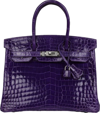 Hermes Birkin 30 Ultraviolet Shiny Niloticus Crocodile Palladium Hardware Hermes Birkin 30 Ultraviolet Shiny Niloticus Crocodile Palladium Hardware