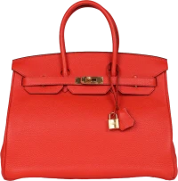 Hermes Birkin 35 Capucine Togo Gold Hardware Hermes Birkin 35 Capucine Togo Gold Hardware