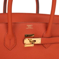 Hermes Birkin 35 Feu Togo Gold Hardware Hermes Birkin 35 Feu Togo Gold Hardware