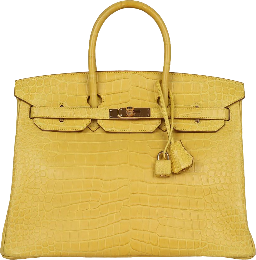 Hermes Birkin 35 Mimosa Matte Porosus Crocodile Gold Hardware