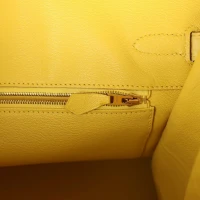 Hermes Birkin 35 Mimosa Matte Porosus Crocodile Gold Hardware