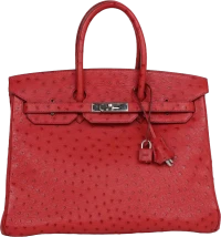Hermes Birkin 35 Rouge Vif Ostrich Palladium Hardware Hermes Birkin 35 Rouge Vif Ostrich Palladium Hardware