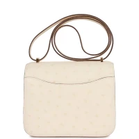 Hermes Constance 18 Nata Ostrich Gold Hardware Hermes Constance 18 Nata Ostrich Gold Hardware