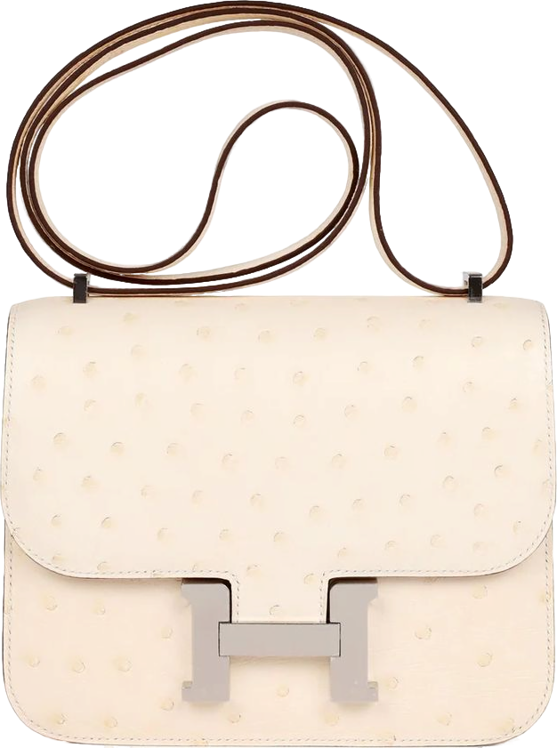 Hermes Constance 18 Nata Ostrich Palladium Hardware