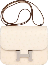 Hermes Constance 18 Nata Ostrich Palladium Hardware Hermes Constance 18 Nata Ostrich Palladium Hardware