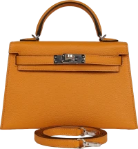Hermes Kelly Sellier 20 Moutarde Chevre Palladium Hardware Hermes Kelly Sellier 20 Moutarde Chevre Palladium Hardware