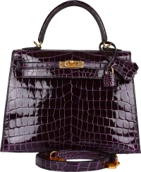 Hermes Kelly Sellier 25 Aubergine Shiny Niloticus Crocodile Gold Hardware Hermes Kelly Sellier 25 Aubergine Shiny Niloticus Crocodile Gold Hardware
