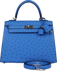 Hermes Kelly Sellier 25 Bleuet Ostrich Palladium Hardware Hermes Kelly Sellier 25 Bleuet Ostrich Palladium Hardware