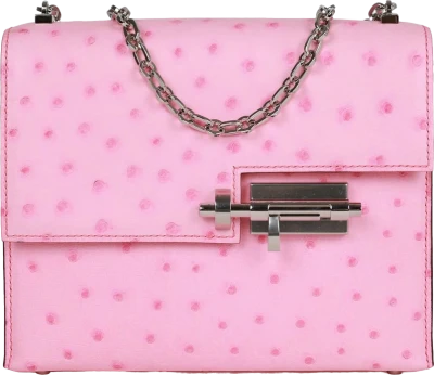 Hermes Mini Verrou Chaine Bag Bubblegum Ostrich Palladium Hardware Hermes Mini Verrou Chaine Bag Bubblegum Ostrich Palladium Hardware