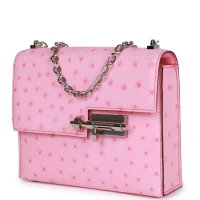 Hermes Mini Verrou Chaine Bag Bubblegum Ostrich Palladium Hardware Hermes Mini Verrou Chaine Bag Bubblegum Ostrich Palladium Hardware