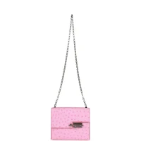 Hermes Mini Verrou Chaine Bag Bubblegum Ostrich Palladium Hardware Hermes Mini Verrou Chaine Bag Bubblegum Ostrich Palladium Hardware