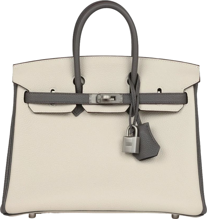 Hermes Special Order (HSS) Birkin 25 Beton and Etain Togo Brushed Palladium Hardware
