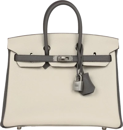 Hermes Special Order (HSS) Birkin 25 Beton and Etain Togo Brushed Palladium Hardware Hermes Special Order (HSS) Birkin 25 Beton and Etain Togo Brushed Palladium Hardware