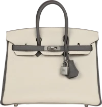 Hermes Special Order (HSS) Birkin 25 Beton and Etain Togo Brushed Palladium Hardware Hermes Special Order (HSS) Birkin 25 Beton and Etain Togo Brushed Palladium Hardware