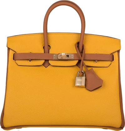 Hermes Special Order (HSS) Birkin 25 Jaune Ambre and Gold Togo Permabrass Hardware Hermes Special Order (HSS) Birkin 25 Jaune Ambre and Gold Togo Permabrass Hardware