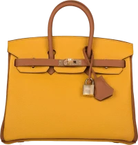Hermes Special Order (HSS) Birkin 25 Jaune Ambre and Gold Togo Permabrass Hardware Hermes Special Order (HSS) Birkin 25 Jaune Ambre and Gold Togo Permabrass Hardware